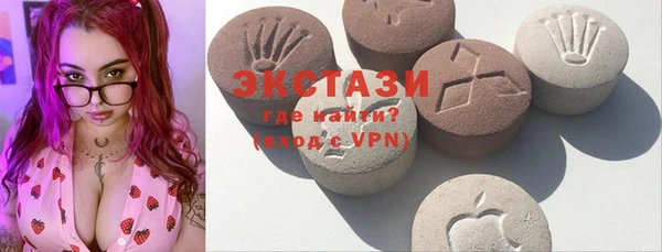 стаф Аркадак