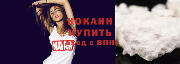 стаф Аркадак