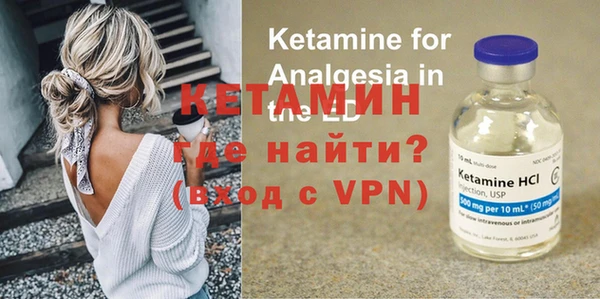 стаф Аркадак