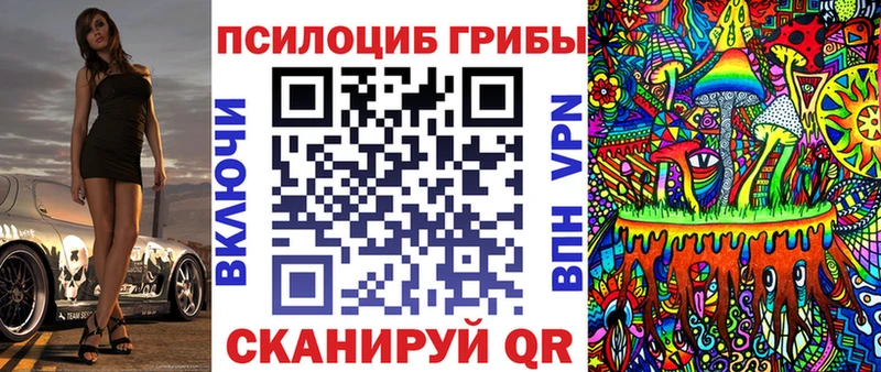 Галлюциногенные грибы Psilocybine cubensis  Новая Ляля 